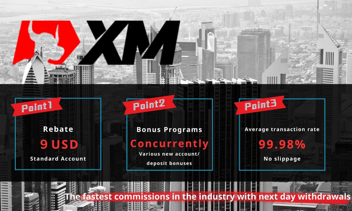 誰がXMを運営していますか？